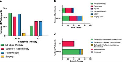 First-line chemoimmunotherapy and immunotherapy in patients with non-small cell lung cancer and brain metastases: a registry study
